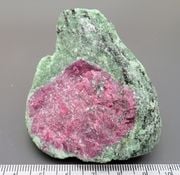 希少 血赤珊瑚 ルース 5.95ct 真っ赤なサンゴ 日本近海 中宝