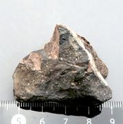  Sonolite 񻺹ʪ ޥ󥬥ʪ ʡ温 ƣۻ ϲʪŸ 5085