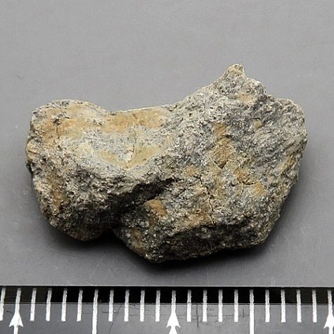 中国美術　紅釉　水盂　送料込み 新古美術 玄清堂 | 厳選された美術品を世界遺産「石見銀山」が