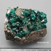 ʪɸ Ƽ Dioptase 뾽 ե ϲʪŸ 5903