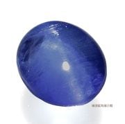 4237 化石 裸石 ルース ポットパームウッド 44.18ct ヤシの珪化