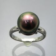 ��ĳ������ 10.8mm �ץ���� �ԡ����å����顼 ������� ��ޯ��Ȥ��� ��ϲ��ʪŸ���� 5931