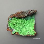 鉱物化石標本 | 標高4000m 世界の鉱山(やま)から 瑞浪鉱物展示館本店