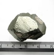 ��Ŵ�� Pyrite ��ʪɸ�� ���Ť����������� ��󥵥�ۻ� �ڥ롼 ��ϲ��ʪŸ���� 6167