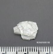 鉱物化石標本 | 標高4000m 世界の鉱山(やま)から 瑞浪鉱物展示館本店