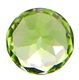 ŷ�� �ѥ饹�ƥ��å��ڥ�ɥå� PERIDOT 0.11ct ���� �롼�� �����Υڥ�ɥåȤ��� �����ʤˤ�Ȥ������ʼ� ����ɥͥ��� ���ȴ����դ� �ڹ�ʪɸ�ܥץ쥼��ȡ� ��ϲ��ʪŸ���� 5856
