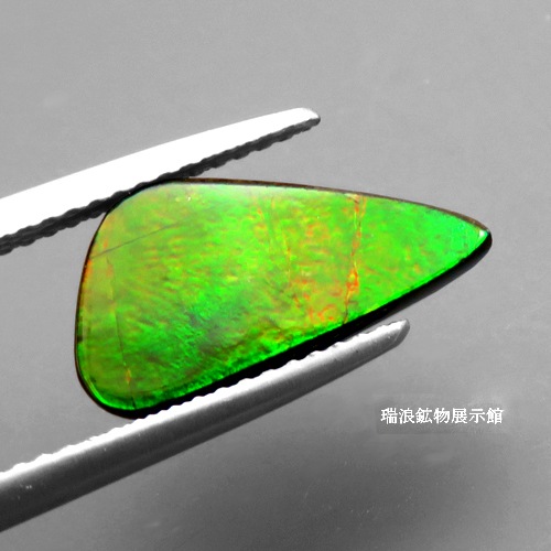 素晴らしい価格 AMMOLITE アンモライト 天然 3.61ct アンモナイト 緑のラスター その他
