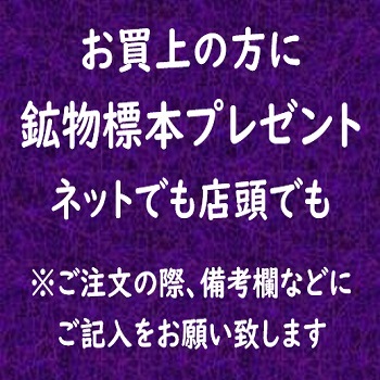 ͥͥ󥫥顼 ѥ饤Хȥޥ 0.66ct Ƥ äȥ꡼ ⥶ӡ ϲʪŸ 3497