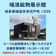 ͥͥ󥫥顼 ѥ饤Хȥޥ 0.66ct Ƥ äȥ꡼ ⥶ӡ ϲʪŸ 3497