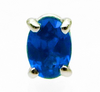 쥢ȡ ֥롼ʥ 0.33ct/2 ץʥԥ ٤ ϲʪŸ 3096