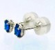 쥢ȡ ֥롼ʥ 0.33ct/2 ץʥԥ ٤ ϲʪŸ 3096
