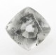 3614ڥ쥢ȡۥץ쥢 Catapleite 0.17ct 륳˥δʪ ʥ : ϲʪŸ ̵