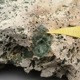 ŴߥΥɥ Ferro-aluminoceladonite 񻺹ʪ Old Stock ĸ ڹʪɸܥץ쥼ȡ ϲʪŸ 5764