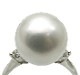 ο  10.5mm D0.08ct ץ ξɤιʥ䤬  ϲʪŸ 4919