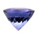 󥶥ʥ 롼 1.31ct  Ƥ ѡץå֥롼 󥶥˥ ϲʪŸ 3790