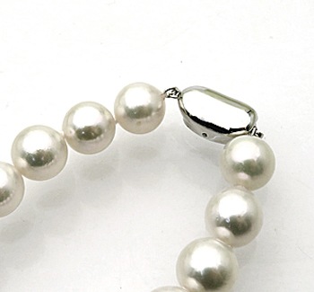 俿 ͥå쥹 10.0-10.8mm SV925 ʸ̽ ʡ ϲʪŸ 4710