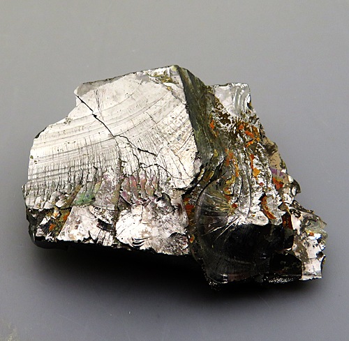 󥶥 Shungite ʪɸ ѥȡȤͭ̾  ϲʪŸ 5468