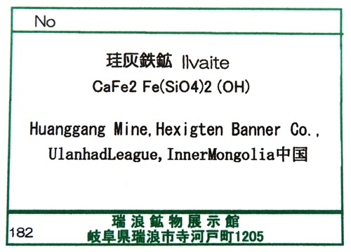 Ŵ llvaite ʪɸ  ϲʪŸ 5505