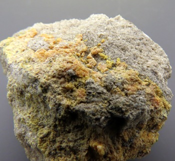 쥤ʥ Kleinite ʪ USA ϲʪŸ 4653