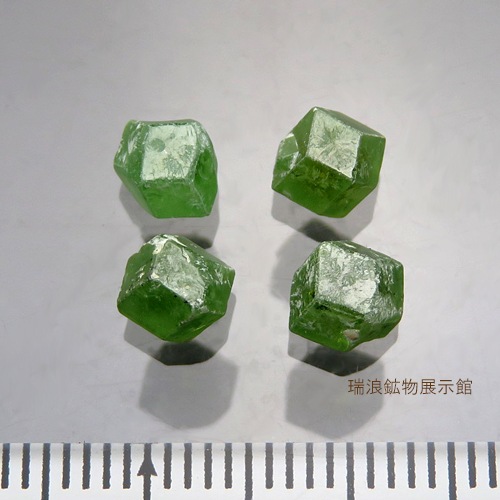 �ǥޥ�ȥ��� Demantoid (�Фγ�Ŵ�������� Andradite) ��ʪɸ�� ���뾽 �ѥ������� ��ϲ��ʪŸ���� 6193