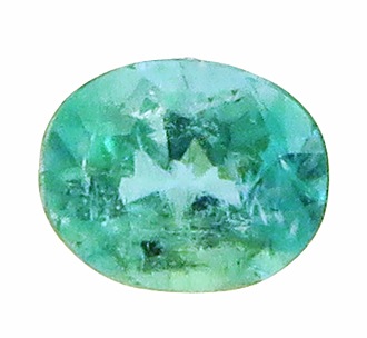 ͥͥ󥫥顼 ѥ饤Хȥޥ 롼 0.08ct  ֥饸뻺 ϲʪŸ 3570