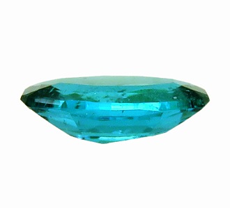  ͥ󥫥顼 ѥ饤Хȥޥ 롼 0.33ct ǻ ֥饸 ϲʪŸ 3273