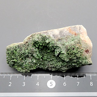˥륳 Conichalcite ʪɸ Ĥߤ ᥭ ϲʪŸ 5360