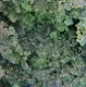 ˥륳 Conichalcite ʪɸ Ĥߤ ᥭ ϲʪŸ 5360
