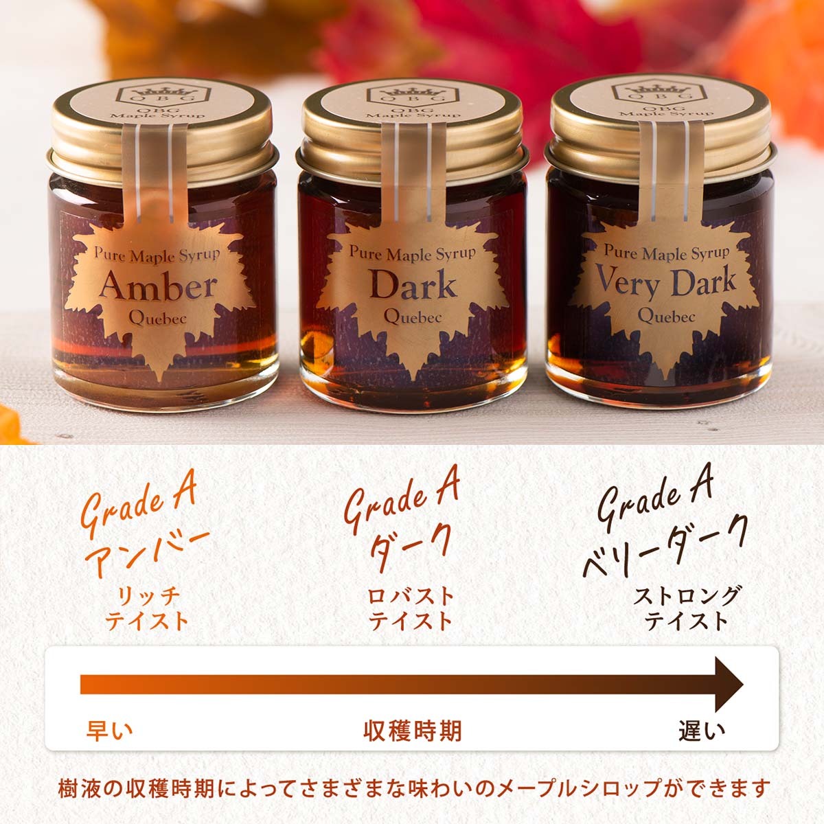 メープルスイーツコンテスト　参加希望者限定 サンプルセット【6月中旬より順次発送】