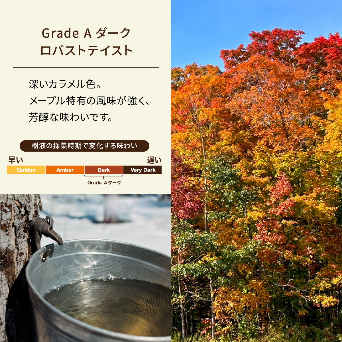 SNOOPY メープルシロップ