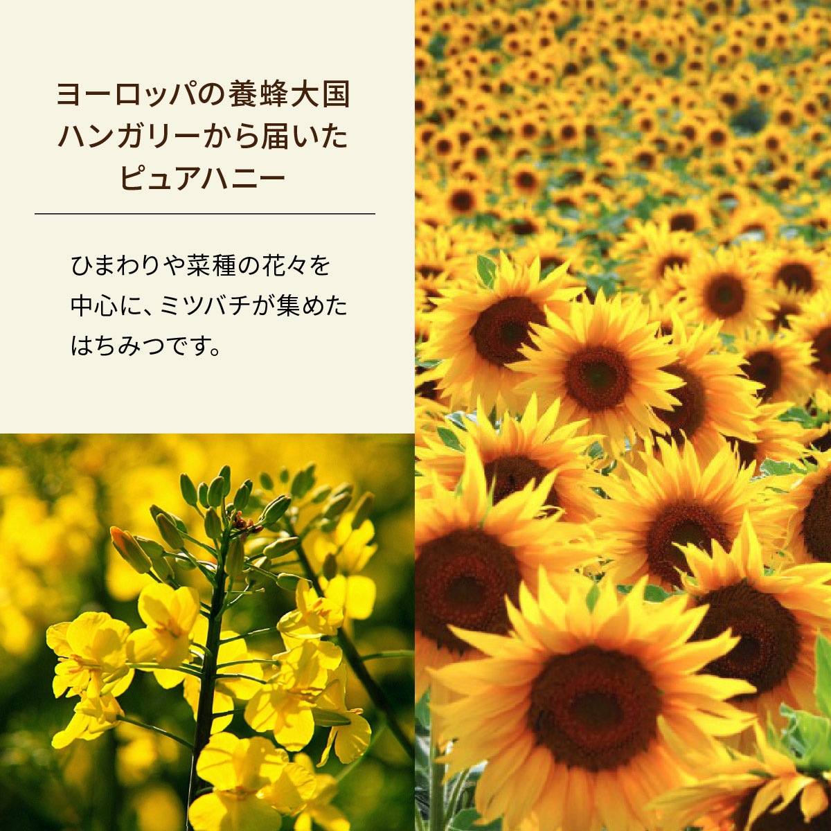 SNOOPY ピュアはちみつ