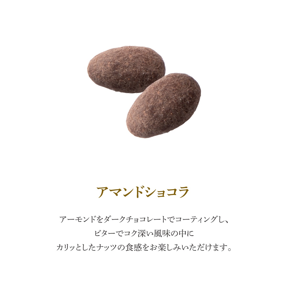 【クッキー缶】フールセックショコラ