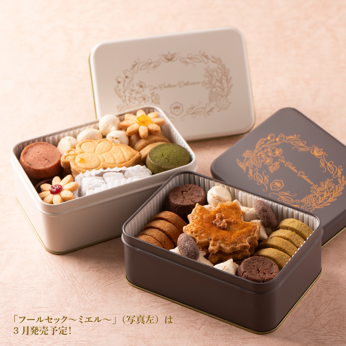 【クッキー缶】フールセックショコラ