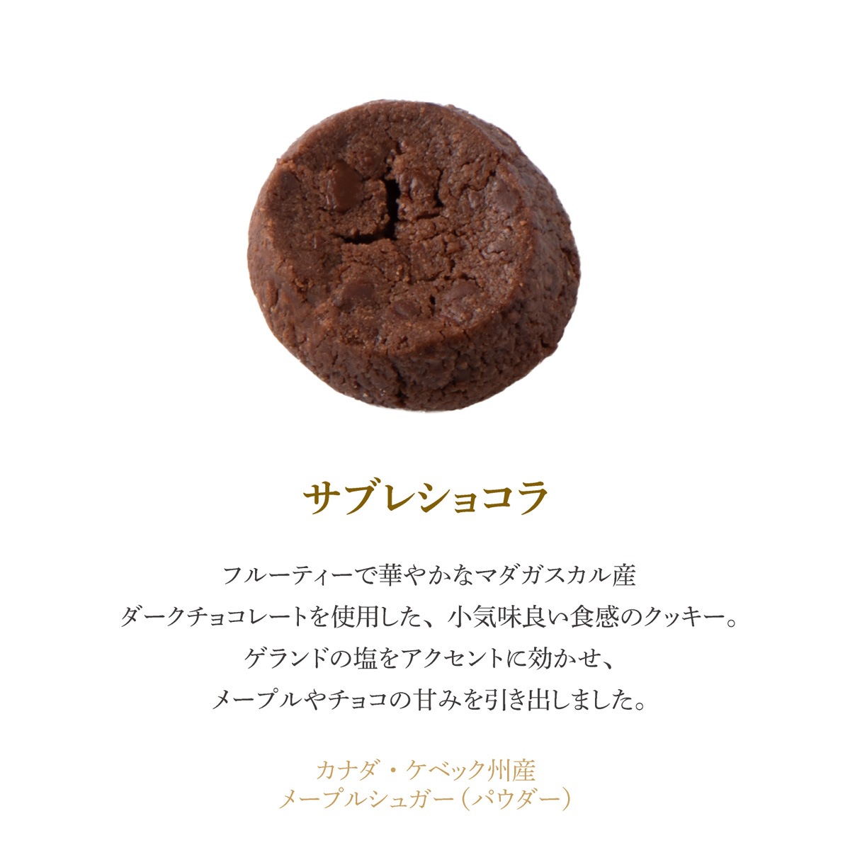 【クッキー缶】フールセックショコラ