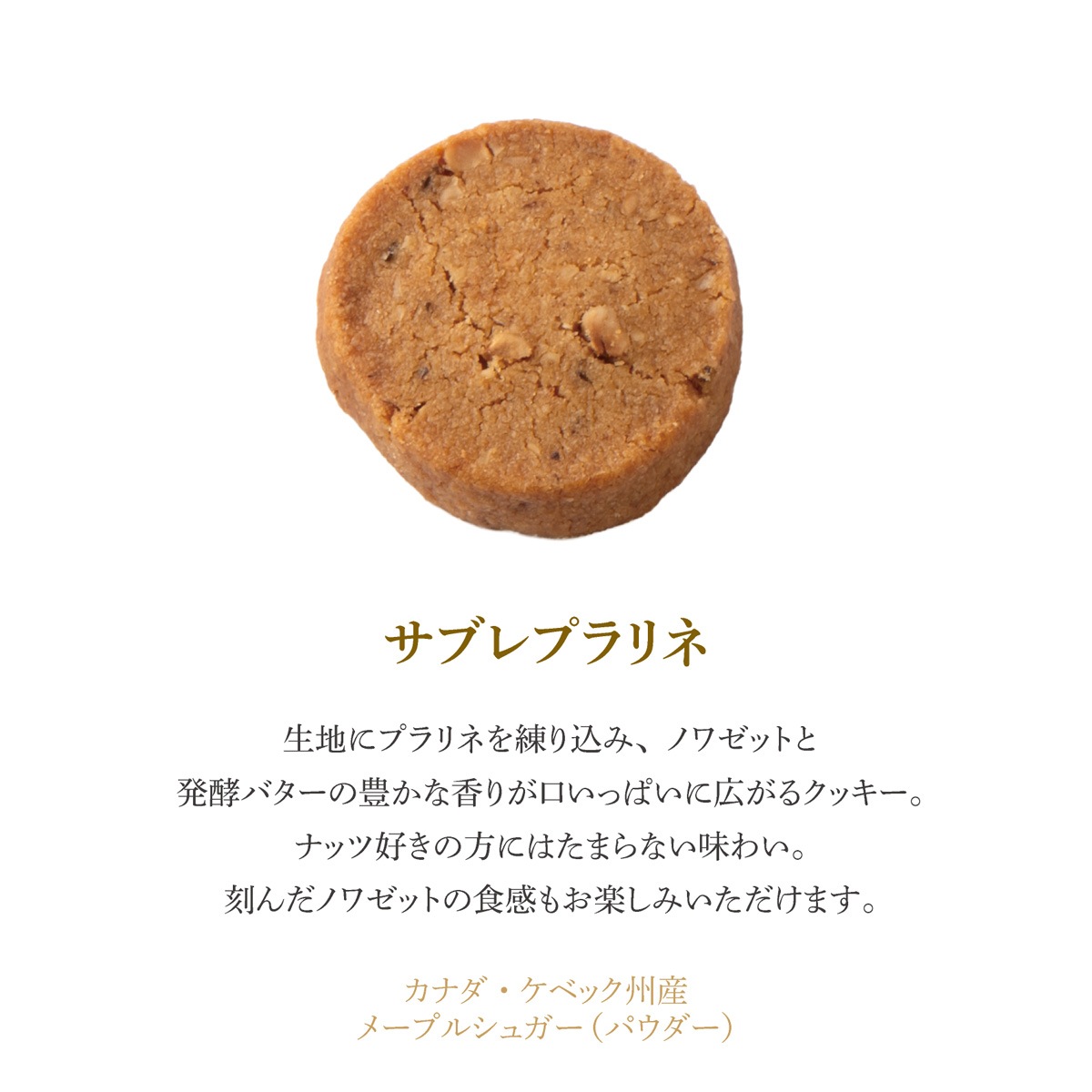 【クッキー缶】フールセックショコラ