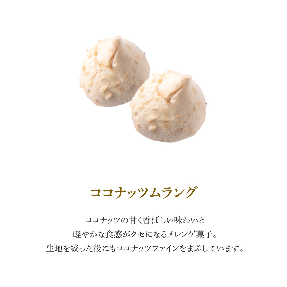 【クッキー缶】フールセックショコラ