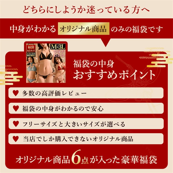 福袋 セクシーランジェリー マイクロビキニ 福袋 大きいサイズ ブラ ショーツ XL 3L オリジナル商品 中身がわかる福袋 5点セット セクシー ランジェリー 穴あき 超過激 5着セット ビキニ 水着 マイクロビキニ 極小 紐パン 上下セット[lk19]