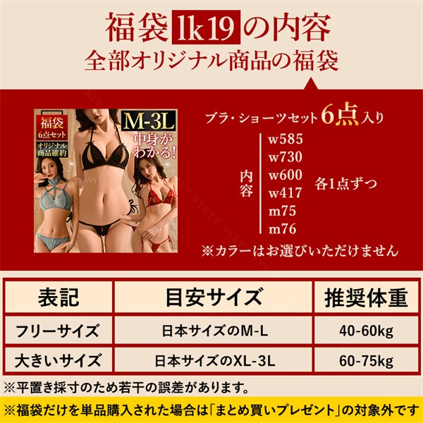 福袋 セクシーランジェリー マイクロビキニ 福袋 大きいサイズ ブラ ショーツ XL 3L オリジナル商品 中身がわかる福袋 5点セット セクシー ランジェリー 穴あき 超過激 5着セット ビキニ 水着 マイクロビキニ 極小 紐パン 上下セット[lk19]