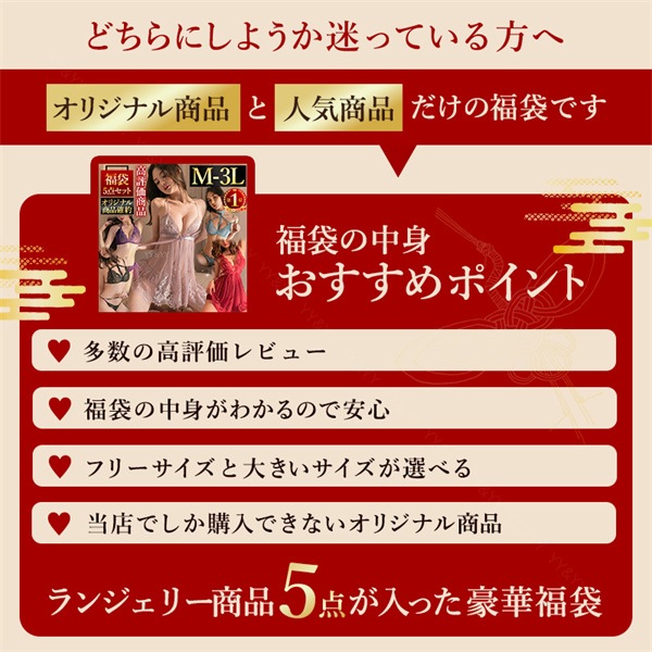 福袋 2026 人気商品のみ YY&YYオリジナル商品確定 ベビードール 大きいサイズ 2026年 福袋 5点セット セクシーランジェリー ベビードール テディ レディース 大きいサイズ 福袋 セクシー ショーツ 5着セット セクシー下着 エロ下着 紐パン 上下セット 人気商品確約 XL 3L[lk13]