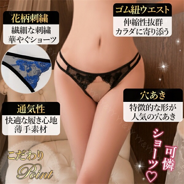 股割れ ショーツ レディースショーツ  セクシーショーツ シースルー  透けるショーツ  穴あき下着 ショーツ  エロパン 総レース セクシーランジェリー エロい下着 セクシー ランジェリー エロ下着 エロかわ 大人かわいい  スケスケ[w600t]
