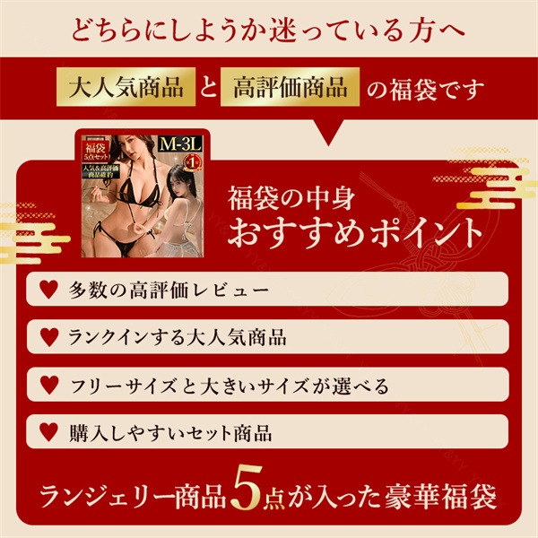 福袋 2026 人気商品のみ 5点セット 上下セット ブラセット 福袋 セクシーランジェリー 大きいサイズ XL 3L 福袋 セクシー下着 エロ下着 ショーツ 5着 セット セクシー ランジェリー 穴あき下着 紐パン 上下セット 人気商品 人気 超過激[lk14]