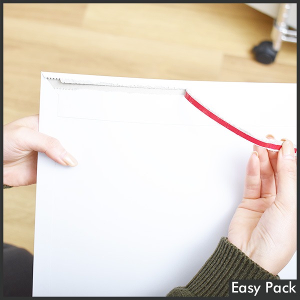 �����ͥ��ݥ��������б�����10Ȣ�ʾ奻�åȡۡ�ˡ���Ͱ�������̵���� �����ơ����ո��������ʥ쥿���������� �����ۥ磻�� / ��������A��(��240mmX��330mm)