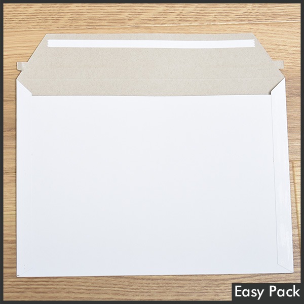 ��10Ȣ�ʾ奻�åȡ� ��ˡ���Ͱ�������̵���� �����ơ����ո��������ʥ쥿���������� �����ۥ磻�� / ����������ͥ��ݥ����� (��228mmX��312mm)