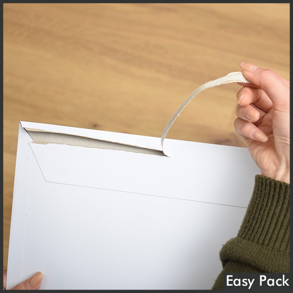 ��10Ȣ�ʾ奻�åȡ� ��ˡ���Ͱ�������̵���� �����ơ����ո��������ʥ쥿���������� �����ۥ磻�� / ����������ͥ��ݥ����� (��228mmX��312mm)