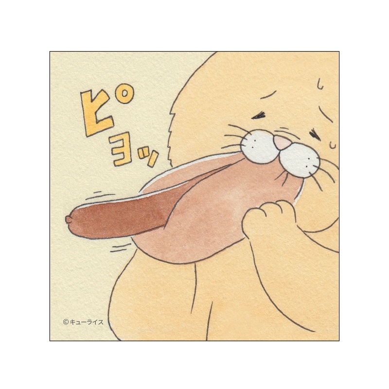 �ͥ��Υҡ� ���������̥Хå�(�ۥåȥɥå�)