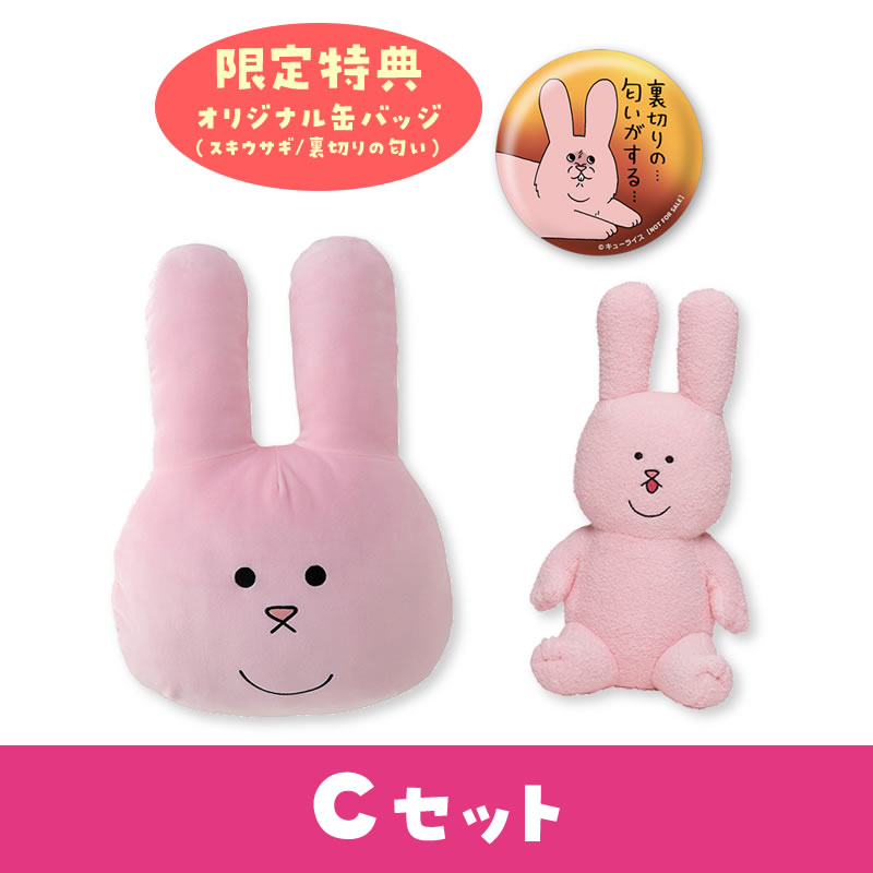 ���塼�饤�����ȥ� �����������ե���(C���å�)