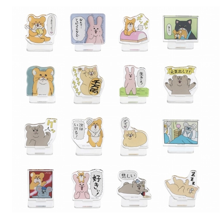 塼饤 ȥ졼ǥ󥰥ߥ˥륹(16)