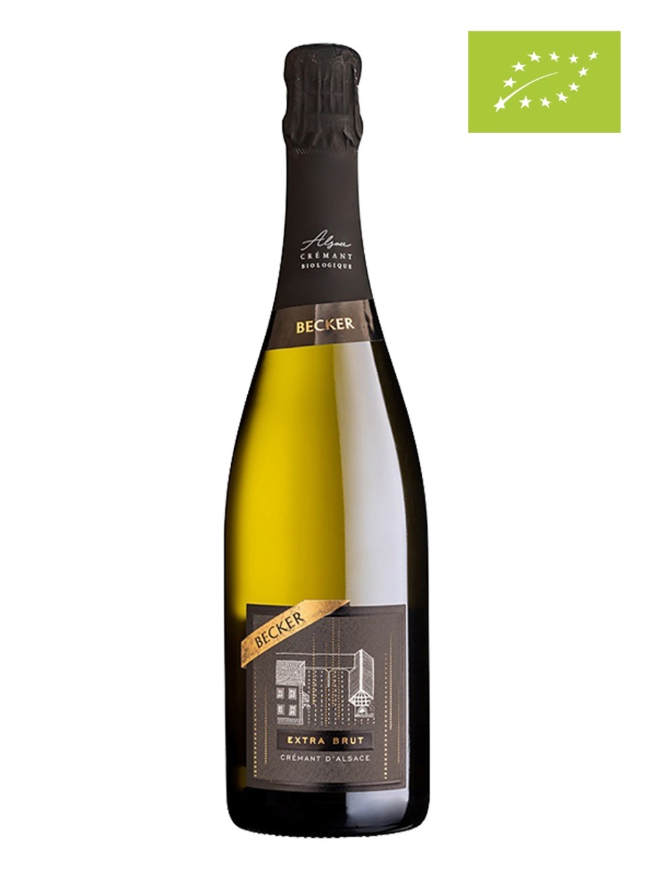 再入荷12月上旬予定】クレマン・ダルザス BIO - フランスワイン