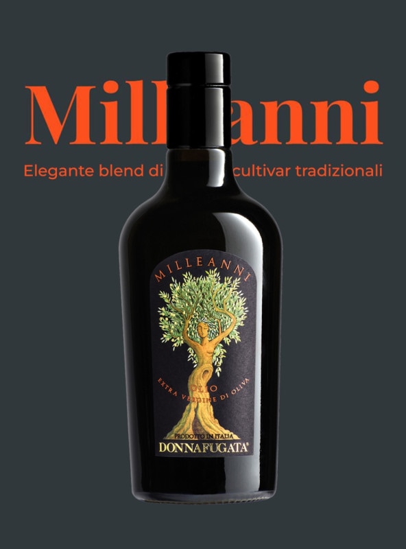 ������Ȣ����ۥߥå쥢��� �������ȥ���������󡦥��꡼�֥�����