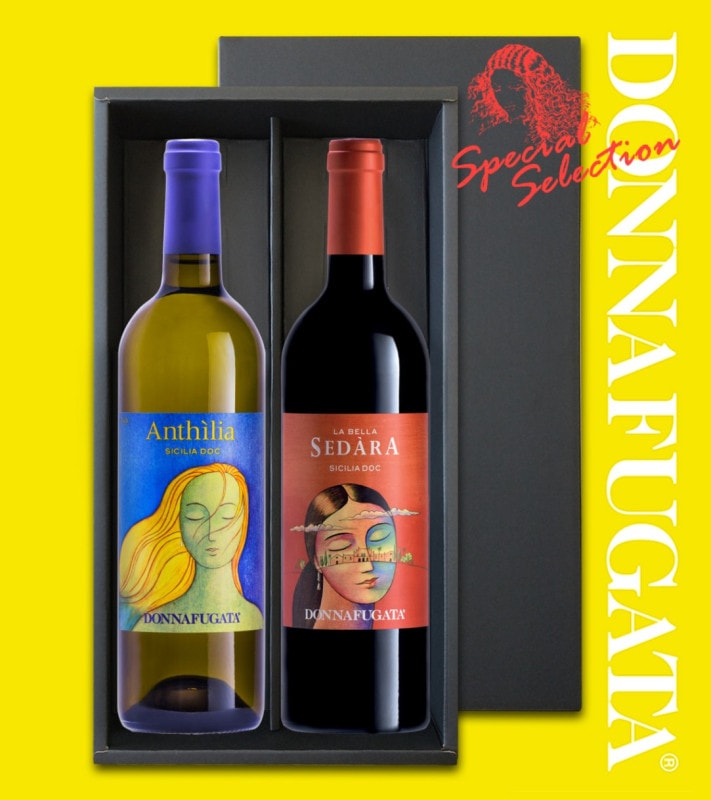 �ɥ�ʥե����� �ե�å���������奢��������ܥ��եȡ�- �����ꥢ�磻��